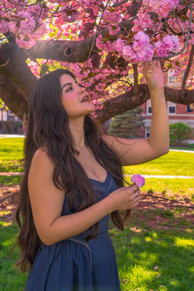 Portrait of Meli in a navy dress beneath cherry blossoms, spring portrait session by Campbell Shepard, Frederick, MD